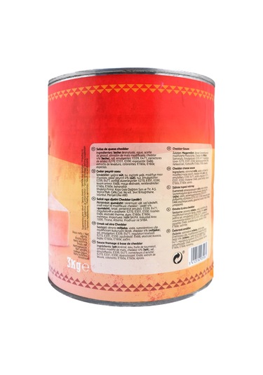 La Fiesta Cheddar Peynirli Sos 3 KG