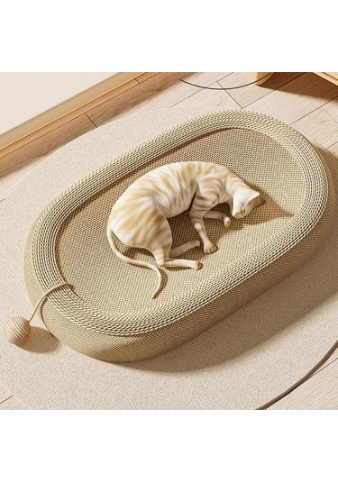 Suntek Küçük Orta Kedi Evcil Hayvan Doğum Günü Büyük