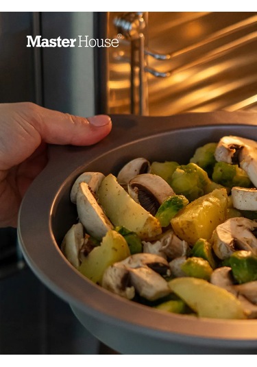 Master House Yuvarlak Kulp Yapısı Fırın Kabı 249228271 Gri