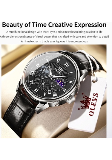 Olevs 2893 Erkekler Çok Fonksiyonlu İş Kuvars Saat Siyah