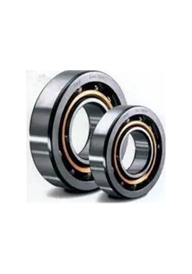 Skf 63032z Alternator Kasnagi