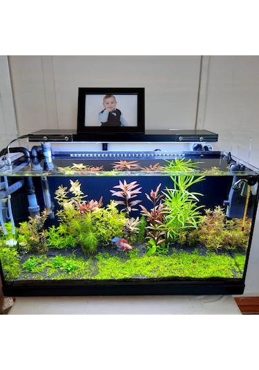 Armatürk 2050H Akvaryum Armatürü 50 CM