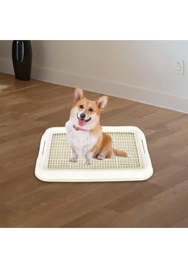 Homyl Köpek Lazımlık Tuvalet Kaymaz Çıkarılabilir Beyaz