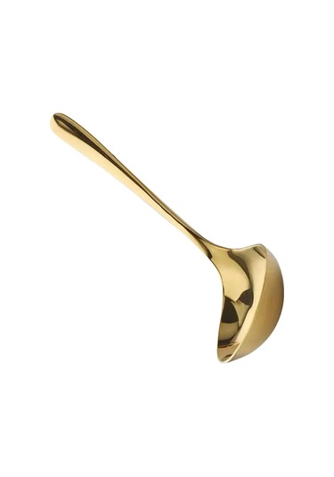 Xiyyadms 2 Adet Büyük Boy Altın Renkli Uzun Saplı Çorba Kaşığı Altın