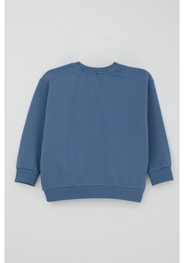 Breeze Erkek Bebek Eşofman Takımı Kaykay Zamanı 9 Ay-3 Yaş, İndigo İndigo