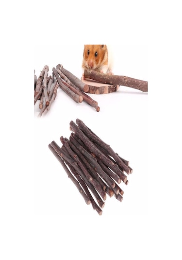 Kemirgenler İçin Elma Ağacı Dalı 15 Adet