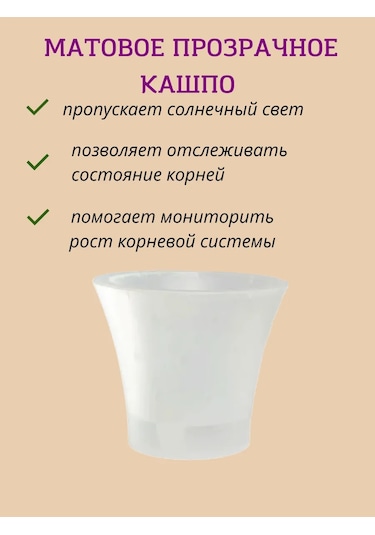 Live-in-green Orkide İçin Şeffaf Plastik Saksı Takımı 1,2l 342131428