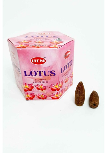 10 Adet Geri Akış Backflow Şelale Tütsü Konisi Tütsü Back 5 Çeşit Karışık