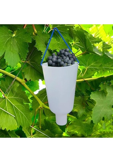 Pazly Yetiştirme Üzüm Suntek Premium Meyve Kabı Islatma & Bakım Lj