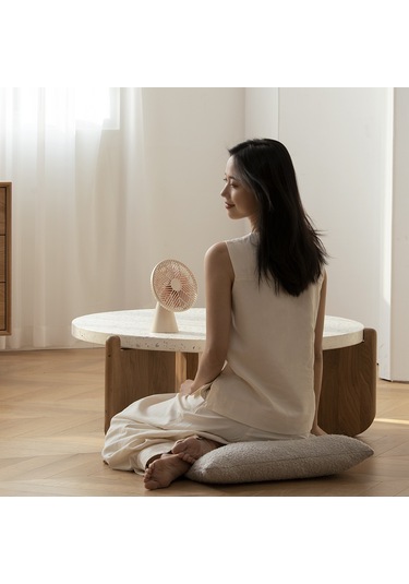 Sothıng Forest Masaüstü Vantilatör Usb Şarj Edilebilir Sessiz Soğutma Fanı 3 Rüzgar Hızı - Beyaz Beyaz