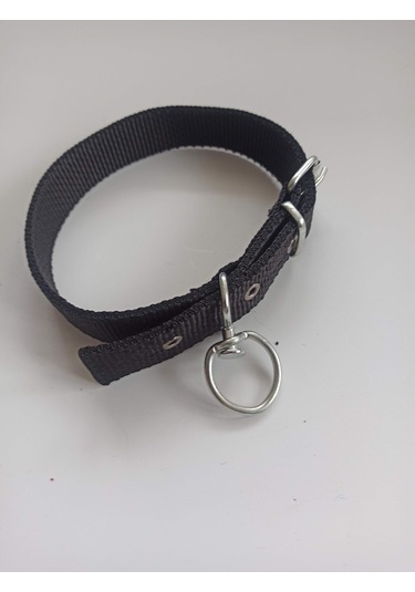Kozaklı Orta Irk Köpek Tasması Siyah 60 x 3 CM Siyah
