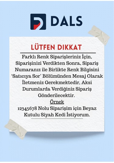 Sevimli Kedi Anahtar  Askısı