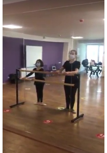 WhiteFace Taşınabilir Bale Barı Bl003 Siyah