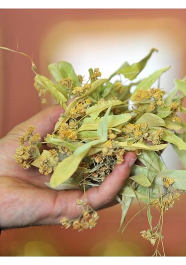 Kuzeylina Ihlamur 50 G