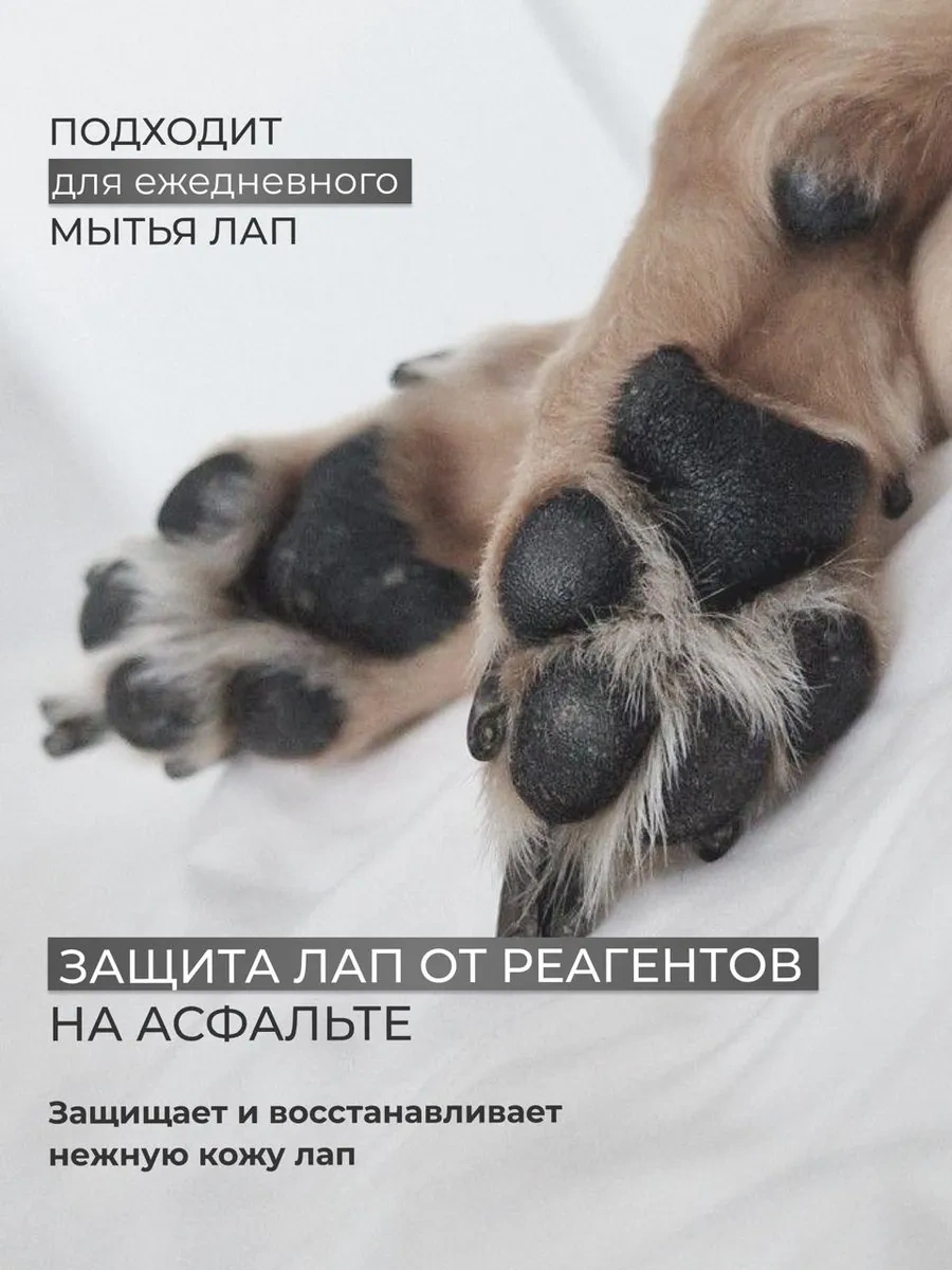 Dogıgo Beyaz Köpekler İçin Sararma Karşıtı Profesyonel Şampuan 223106027