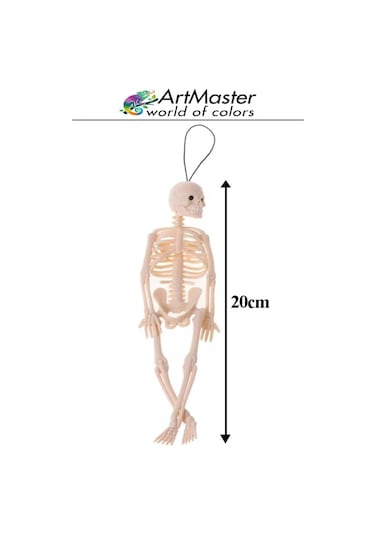 İskelet Modeli Plastik 20 Cm 1 Adet Silikon İnsan İskeleti Plastik İsket Modeli Silikon İskelet Deneyi Araba Süsü