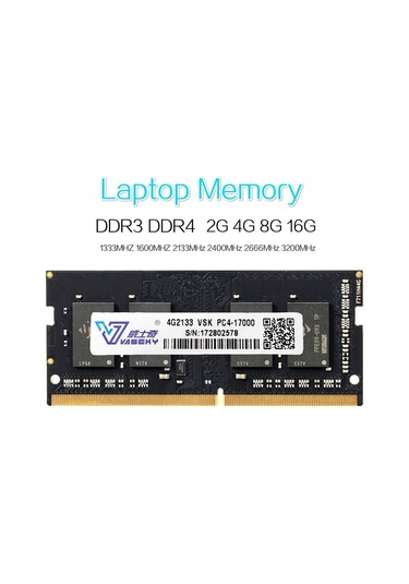 Vaseky 8 GB DDR3L 1600 MHz Notebook Ram