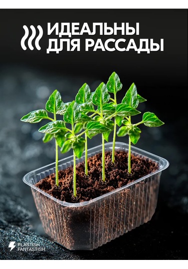 Plastish Fantastish Tek Kullanımlık Kapaklı Yemek Kapları 1500 Ml 30 Adet 126040086 30