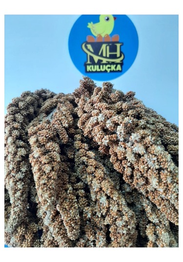 Dal Darı Kuş Yemi 1 Kg