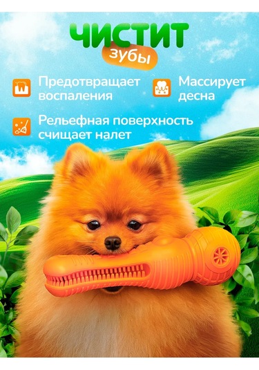 Köpekler İçin Diş Temizleme Oyuncağı 433594088