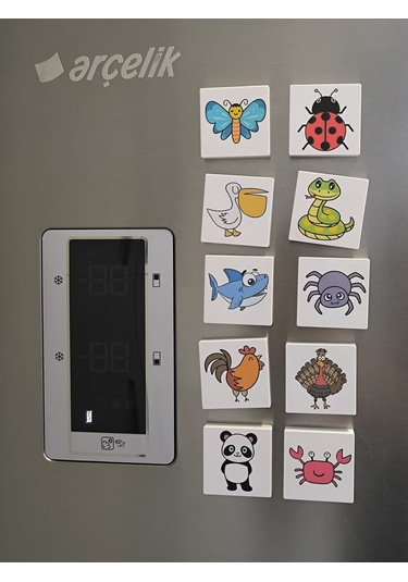 Efe'nin Hayvanat Bahçesi Seri-2 / Manyetik Eğitici Oyuncak