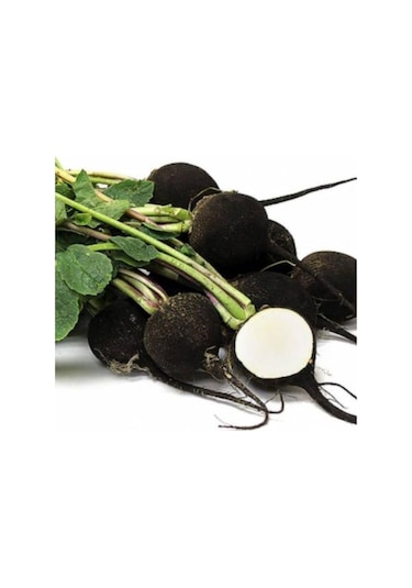 Iri Siyah Turp Tohumu 50 Adet Tohum Kara Turp