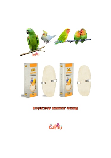 Quik Mürekkep Balığı Kemiği Kalamar Küçük Boy 2 Adet