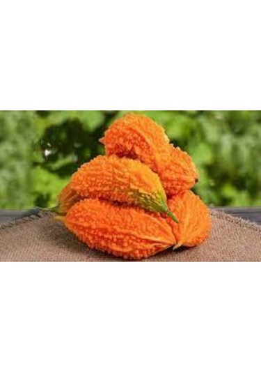 Eko Paket 15 Adet Tohum Nadir Kudret Narı Tohumu Cennet Meyvesi Tohumu