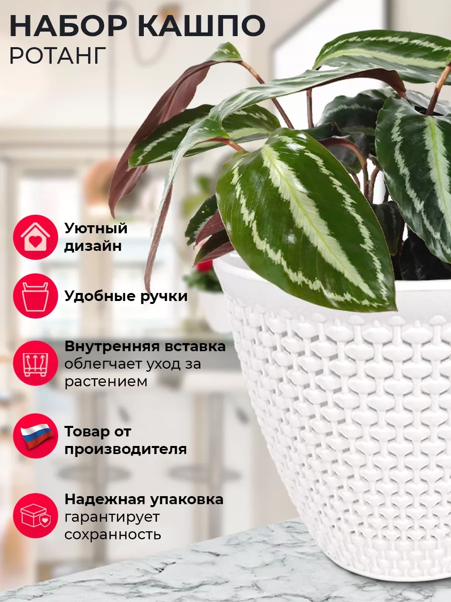 La Decoro Saksı Toprak, Çiçekler İçin Saksı, Saksı 204813931