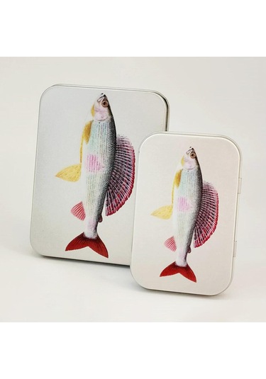 Dolıty Sinekler Depolama Kutusu Sınıflandırılmış Orta