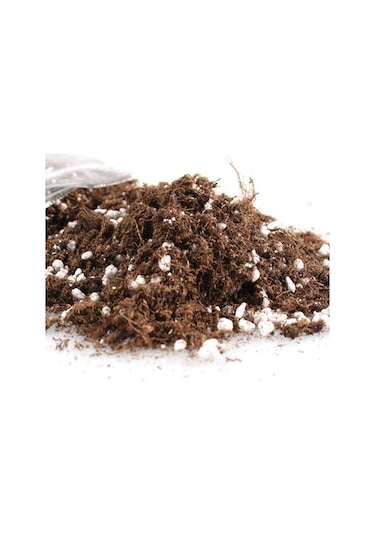 5 L Bonsai Toprağı Bonzai Toprağı Toprak Torf Bonzai Ağacı