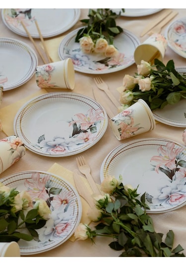 Albeta 20 Kişilik Düğün Parti İçin Tek Kullanımlık Sofra Takımı 258021205 100 adet