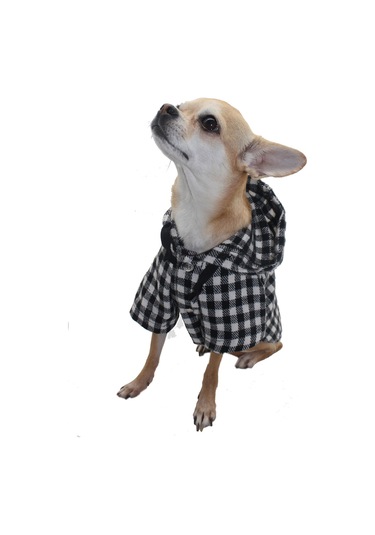 Pawstar Beyaz Ekose Oduncu Kedi Köpek Gömleği