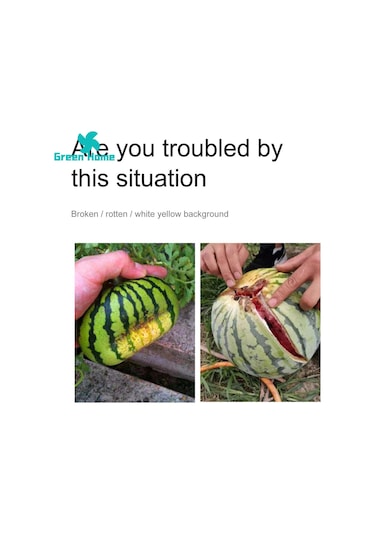 Lebihmurah 4356 Green Home Balkabağı Standı Aşınmaya Dayanıklı Kavun Karpuz Destek Tutacağı