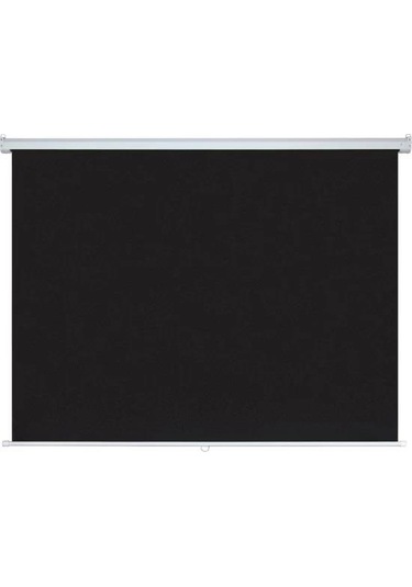 Codegen Ex-30 300X225 Motorlu Projeksiyon Perdesi