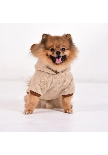 Gedyco Beige Premium Peluş Küçük Irk Köpek Sweatshirtü 2 - 8 Kg Arası Köpeklere Uygundur