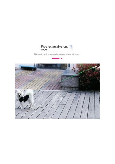 Soulader Otomatik Toplarlı Köpek Gezdirme Tasma İpi, Geri Çekilebilir Mekanizmalı Evcil Hayvan Tasma