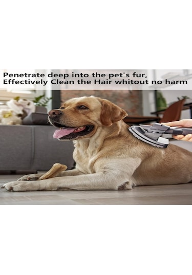 Hfambition Köpek Tüy Temizleme Aleti, V11 V10 V8 V7 V6 Süpürgeler İçin Uyumlu, Hızlı Kurulum, Esnek Hortumlu Fırça Aksesuarı