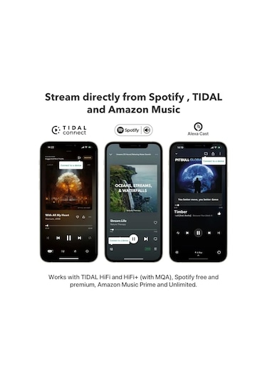 Wiim Mini Airplay2 Kablosuz Ses Aktarıcı