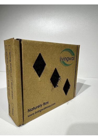 Reindermoss Şoklanmış Norveç Yosunu Terarium Yosunu Mor 100 Gr.