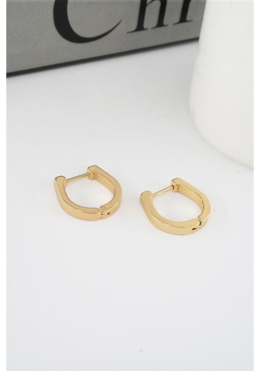 Kadın 316 L Paslanmaz Çelik 1.8 Cm Oval Model Küpe