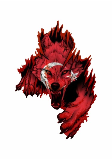 Kurt Gökbörü Ay Yıldızlı Kurt Sticker - Türk Gökbörü Börü Göktük Turan Sticker - 00244 10x7 Cm