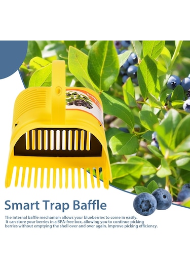 Suntek Makinesi, Yabanmersini Toplayıcı, Yumuşak Dokunuşlu