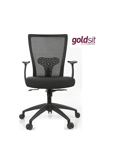 Dekofis Goldsit Çalışma Koltuğu Fileli