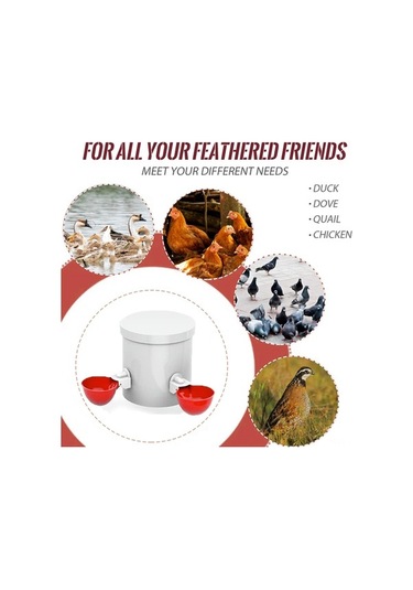 Pazly Tavuk, Suluk Su Seti Pp Plastik Otomatik Ördek, Kümes Kaz Kabı Hayvanı Geeroyoo Sağlam Adet Abs 20 - An