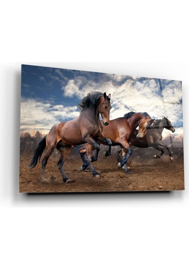 Hırçın Atlar Cam Tablo