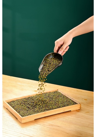 Çelik 13 Cm Baharat Kuruyemiş Bakliyat Erzak Küreği Cin794