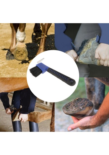 Homyl At Toynağı Seçim Fırçası Binicilik Renk-rastgele Renk Rastgele