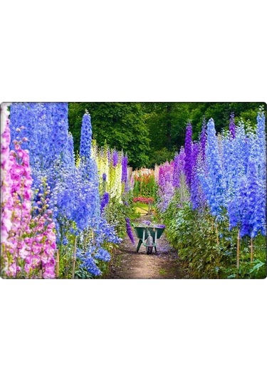 Hazeran Çiçeği Tohumu 30 Adet Saray Çiçeği 4 Al 3 Öde