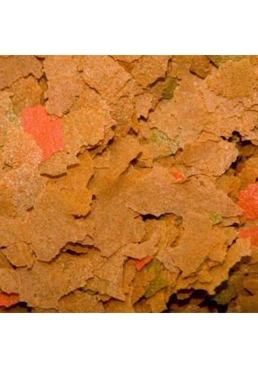 Osı Prostar Maintance Flake 50gr Açık